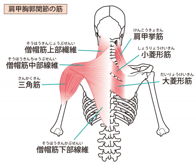 テニス肘の当院へのアプローチは?
