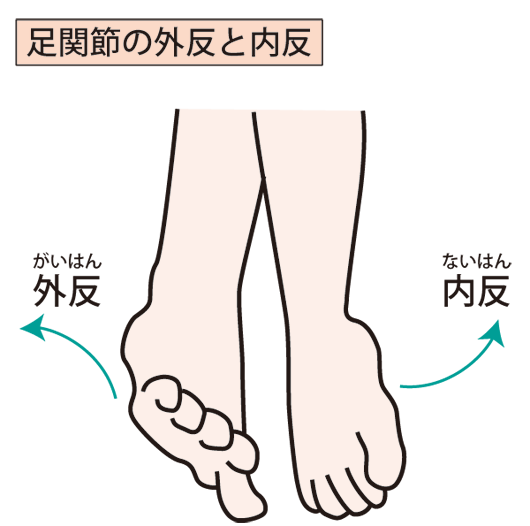 内反・外反のイラスト
