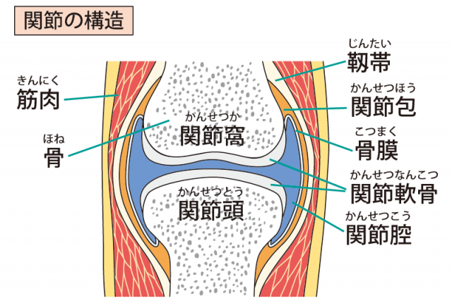 当院での「ガングリオン」に対するアプローチ