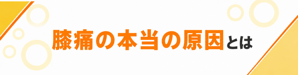 膝痛の本当の原因とは
